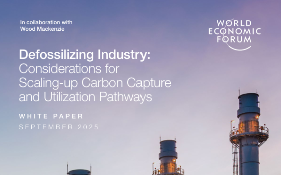 World Economic Forum – Defossilizing Industry 