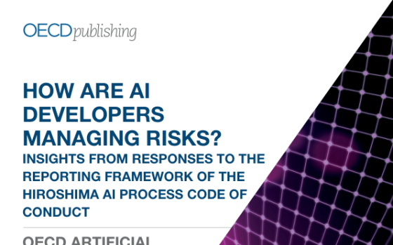 OECD – How Are AI Developers Managing Risks, Sep 2025 