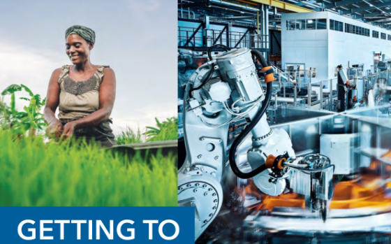 IMF – Annual Report, 2025 
