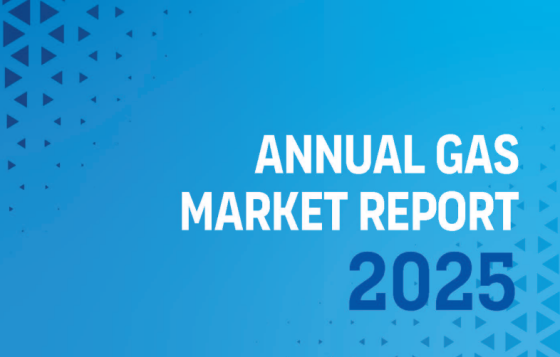 GECF – Annual Gas Market Report, 2025 
