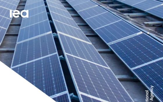 IEA – Renewables 2025: Analysis and Forecast to 2030 
