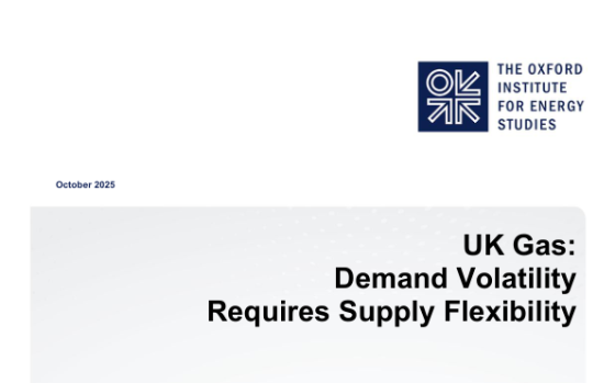 OIES – UK Gas: Demand Volatility Requires Supply Flexibility 