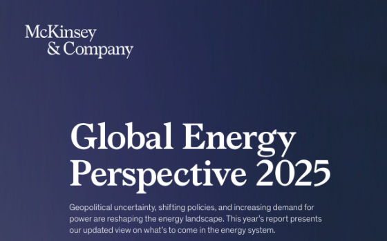 McKinsey & Company – Global Energy Perspective, 2025 