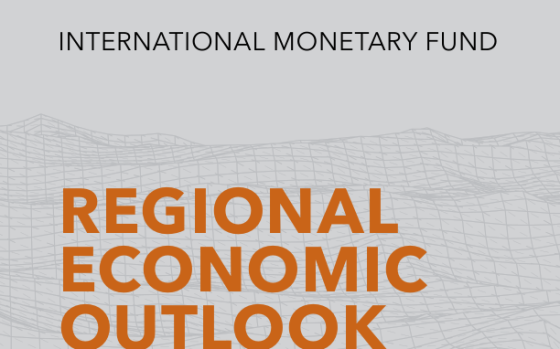 IMF – Regional Economic Outlook: Sub-Saharan Africa: Holding Steady, Oct 2025 