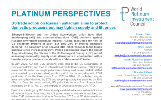 WPIC – Platinum Perspectives, Oct 2025 