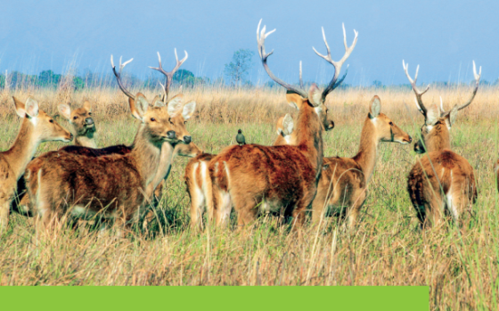 ADB – Unleashing the Tourism Potential in Far West Nepal, Oct 2025 