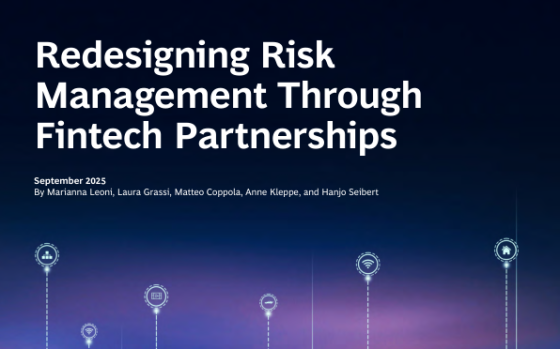 BCG – Redesigning Risk Management Through Fintech Partnerships 
