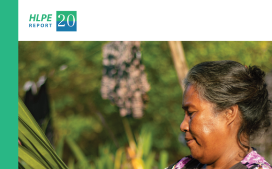 FAO – Building Resilient Food Systems, 2025 