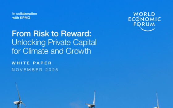 World Economic Forum – From Risk to Reward: Unlocking Private Capital for Climate and Growth 