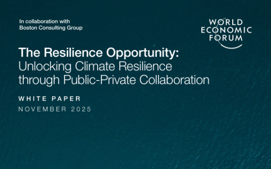 World Economic Forum – The Resilience Opportunity 