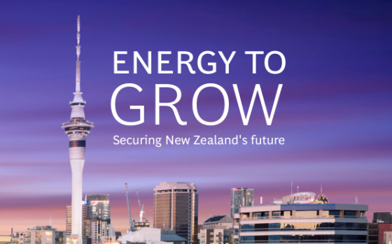 BCG – Energy to Grow: Securing New Zealand's Future 