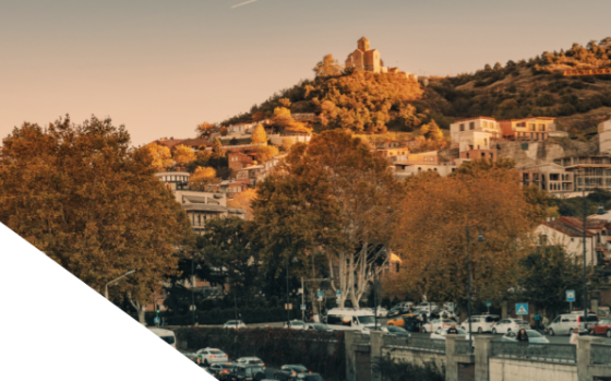 IEA – Sustainable Transport Policy for Georgia 