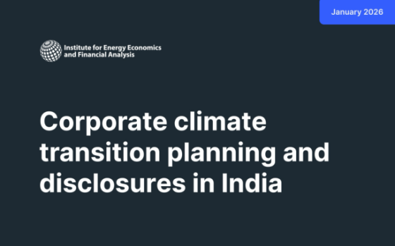 IEEFA – Corporate Climate Transition Planning and Disclosures in India 