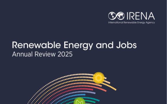 IRENA – Renewable Energy and Jobs: Annual Review 2025 