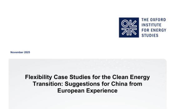 OIES – Flexibility Case Studies for the Clean Energy Transition: Suggestions for China from European Experience 