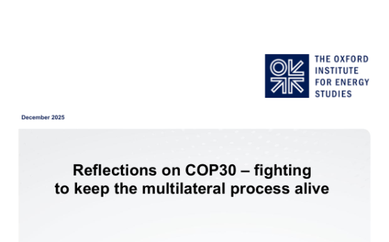 OIES – Reflections on COP30 – Fighting to Keep the Multilateral Process Alive 