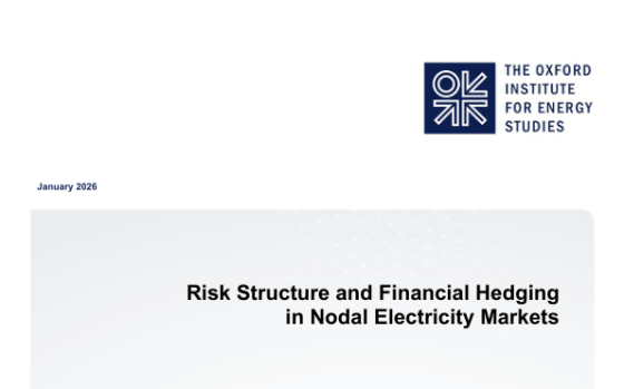 OIES – Risk Structure and Financial Hedging in Nodal Electricity Markets 