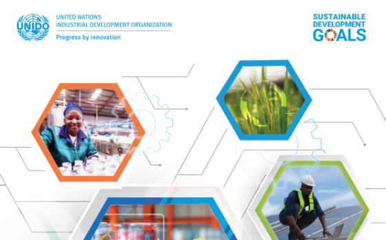 UNIDO – The Future of Industries for Development Vision 2050 