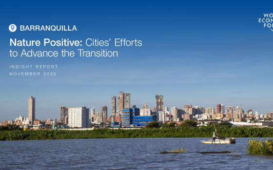 World Economic Forum – Nature Positive: Cities’ Efforts to Advance the Transition 