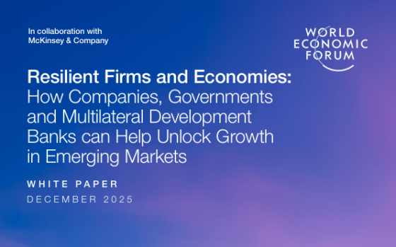 World Economic Forum – Resilient Firms and Economies: How Companies, Governments and Multilateral Development Banks Can Help Unlock Growth in Emerging 
