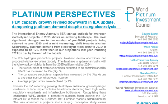 WPIC – Platinum Perspectives, Jan 2026 