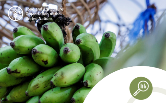 FAO – Banana Market Review Preliminary Results, 2025 