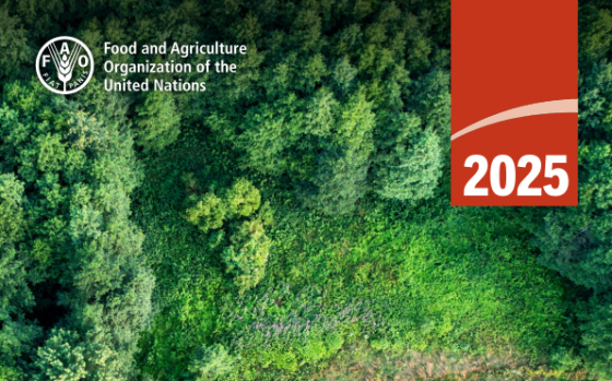 FAO – The State of Food and Agriculture, 2025 