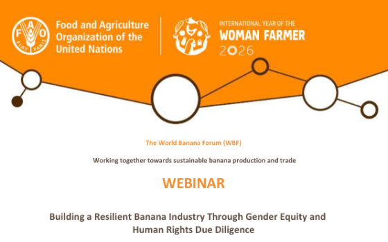 FAO – Building a Resilient Banana Industry Through Gender Equity and Human Rights Due Diligence 
