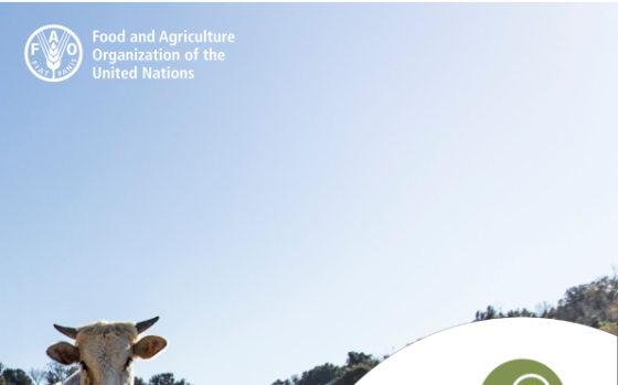 FAO – Meat Market Review: Emerging Trends and Outlook in 2025 