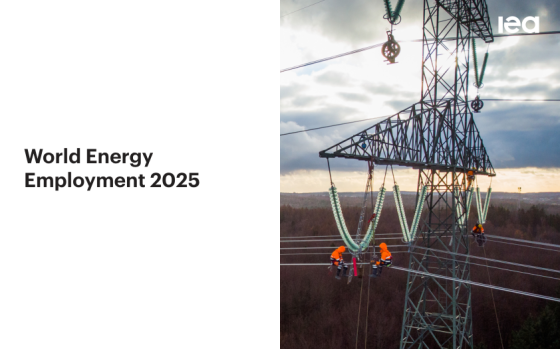 IEA – World Energy Employment, 2025 