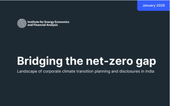 IEEFA – Bridging the Net-Zero Gap, Jan 2026 