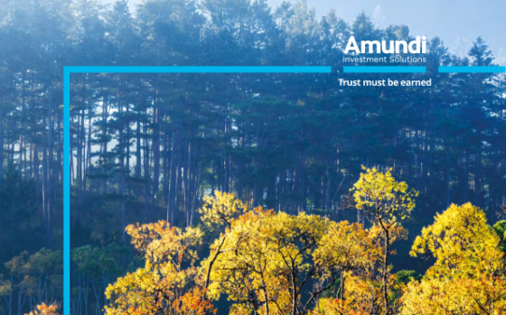 Amundi – Responsible Investment Views, 2026 