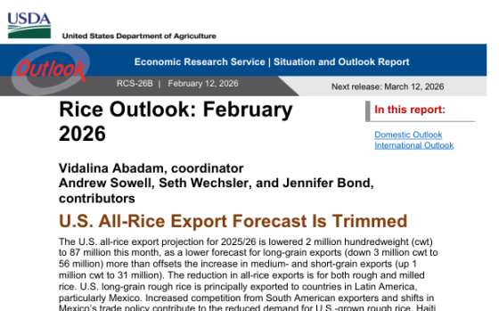 USDA – Rice Outlook, Feb 2026 