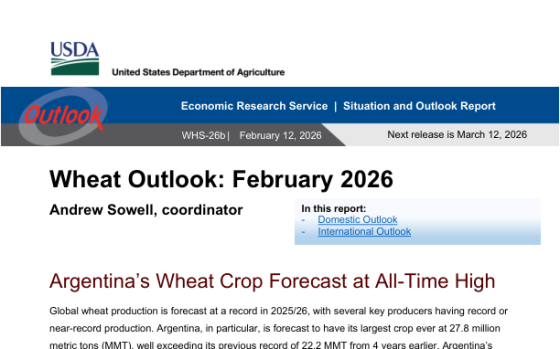 USDA – Wheat Outlook, Feb 2026 