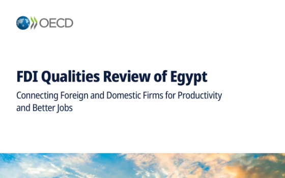 OECD – FDI Qualities Review of Egypt: Connecting Foreign and Domestic Firms for Productivity and Better Jobs, 2026 