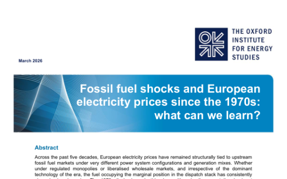 OIES – Fossil Fuel Shocks and European Electricity Prices Since the 1970s: What Can We Learn? 
