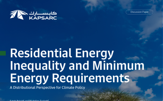 KAPSARC – Residential Energy Inequality and Minimum Energy Requirements 