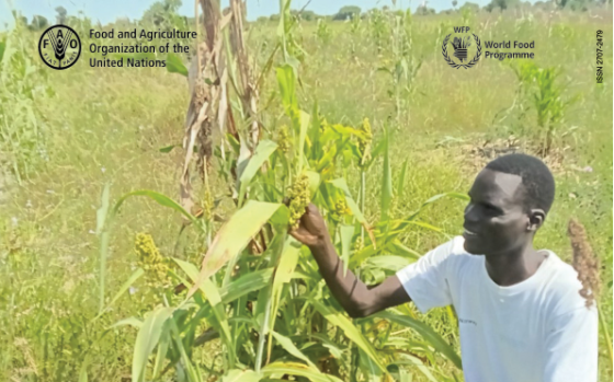 FAO/WFP – Special Report: FAO/WFP Crop and Food Security Assessment, 2025 