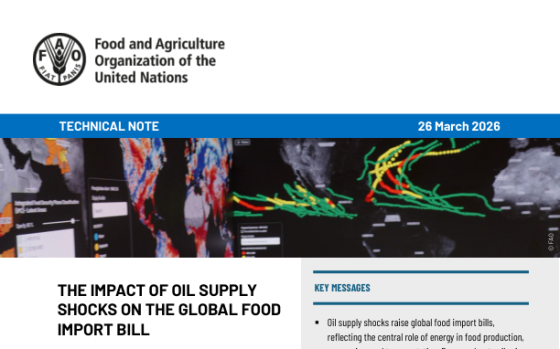 FAO – The Impact of Oil Supply Shocks on the Global Food Import Bill 