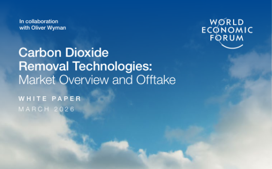 World Economic Forum – Carbon Dioxide Removal Technologies: Market Overview and Offtake 