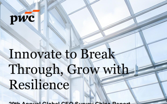 PwC – 29th Annual Global CEO Survey China Report, 2026 