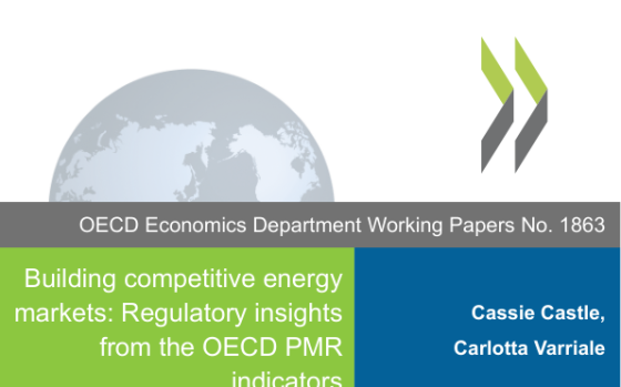 OECD – Building Competitive Energy Markets 